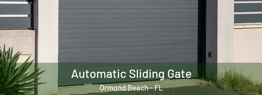  Automatic Sliding Gate Ormond Beach - FL