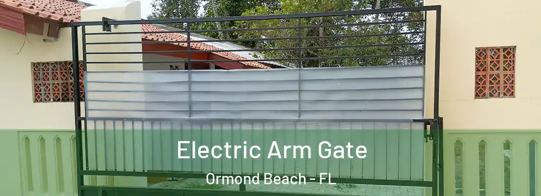  Electric Arm Gate Ormond Beach - FL